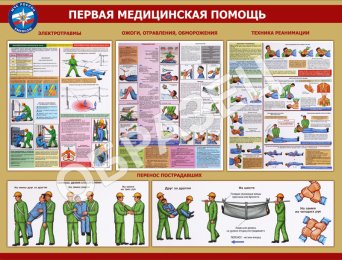 Описание изображения