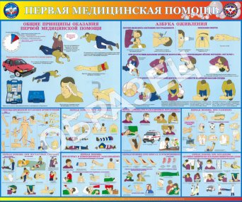 Описание изображения
